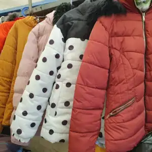 10 kg Men & Women Mixed Shorts